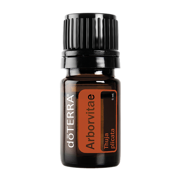 Arborvitae — 5mL