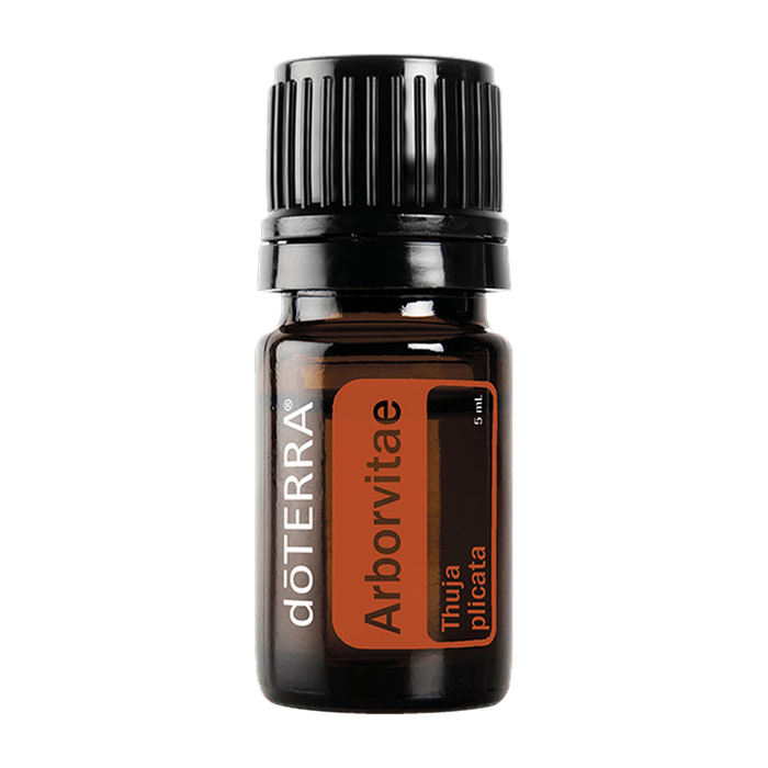 Arborvitae — 5mL