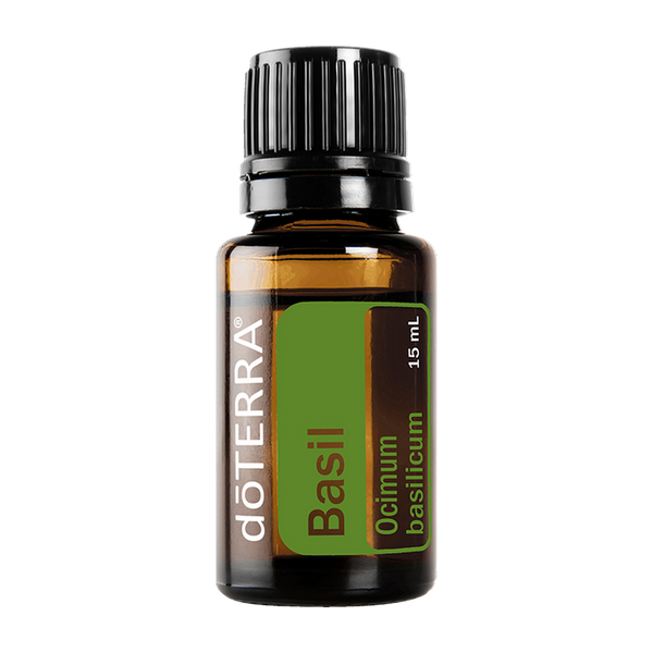 Basil — 15mL