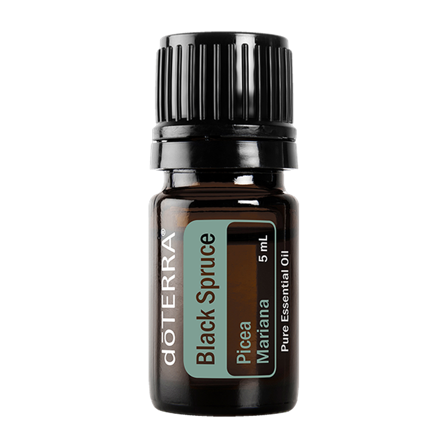 Black Spruce - 5mL dōTERRA