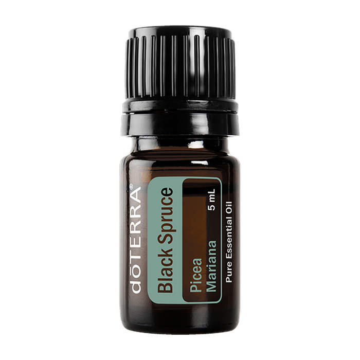 Black Spruce — 5mL