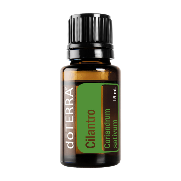 Cilantro — 15mL