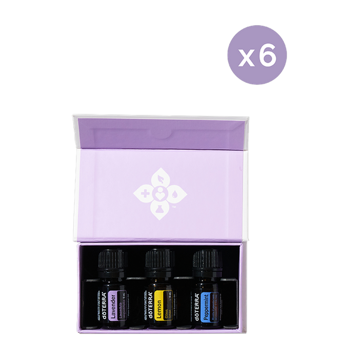 Introductory Kit 6 Pack — 6 Pack